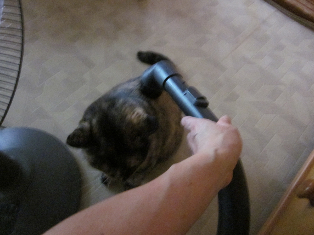 f:id:yonnbaba:20120929094108j:plain