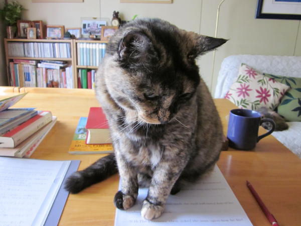 f:id:yonnbaba:20130607113444j:plain f:id:yonnbaba:20130607113444j:plain