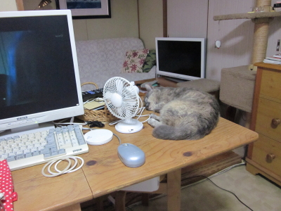 f:id:yonnbaba:20130729171137j:plain