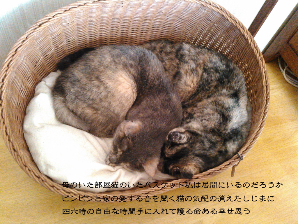 f:id:yonnbaba:20150502170701j:plain f:id:yonnbaba:20150502170701j:plain