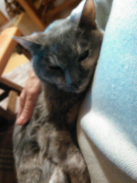 f:id:yonnbaba:20170110212436j:plain f:id:yonnbaba:20170110212436j:plain