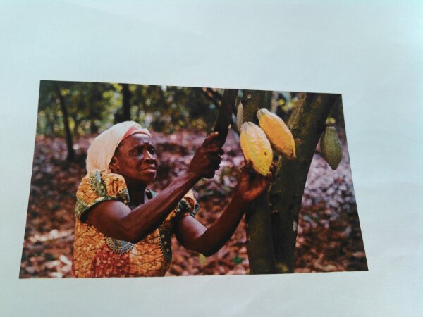 f:id:yonnbaba:20170127195540j:plain