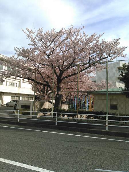 f:id:yonnbaba:20170412214803j:plain