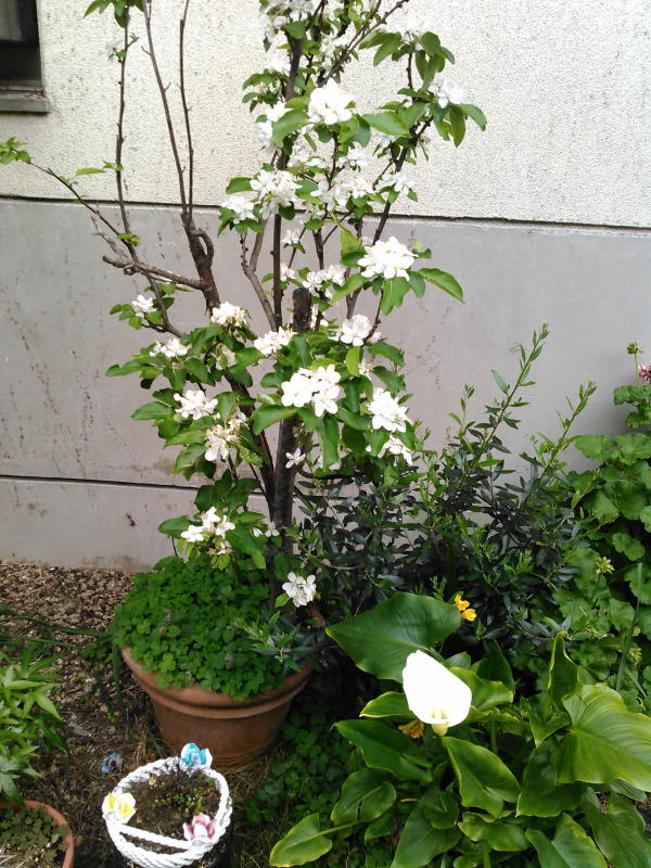f:id:yonnbaba:20170421161859j:plain f:id:yonnbaba:20170421161859j:plain