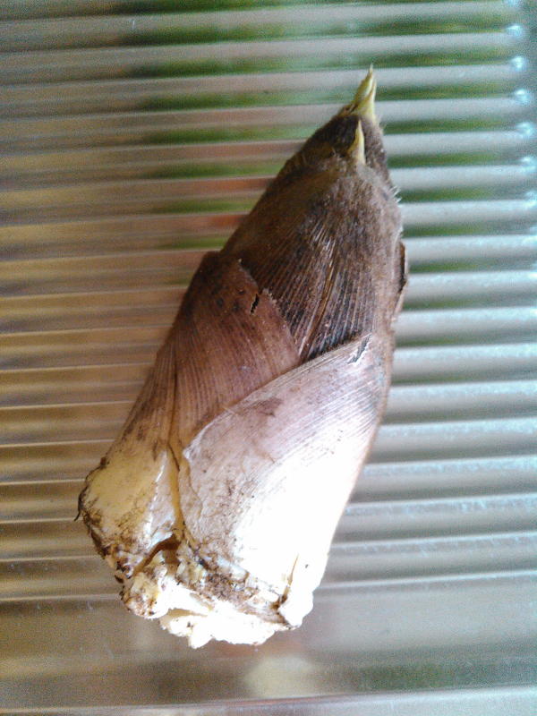 f:id:yonnbaba:20170424114135j:plain f:id:yonnbaba:20170424114135j:plain