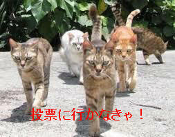 f:id:yonnbaba:20190204090749j:plain