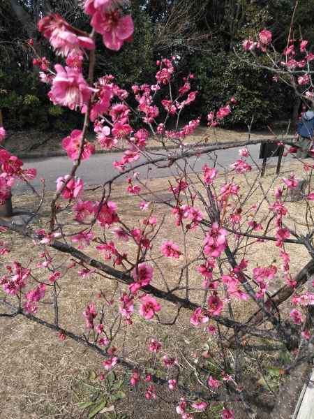 f:id:yonnbaba:20190218145643j:plain f:id:yonnbaba:20190218145643j:plain