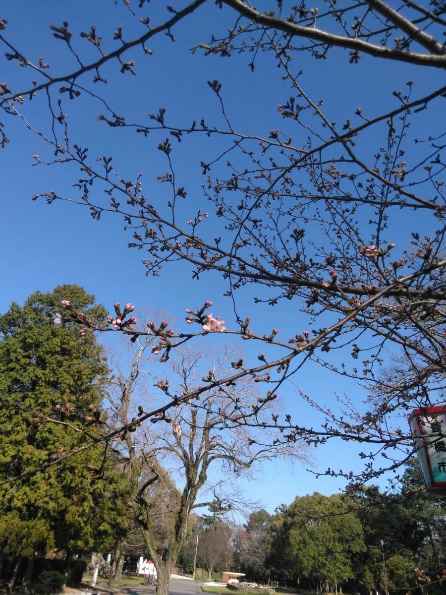 f:id:yonnbaba:20190324180448j:plain f:id:yonnbaba:20190324180448j:plain