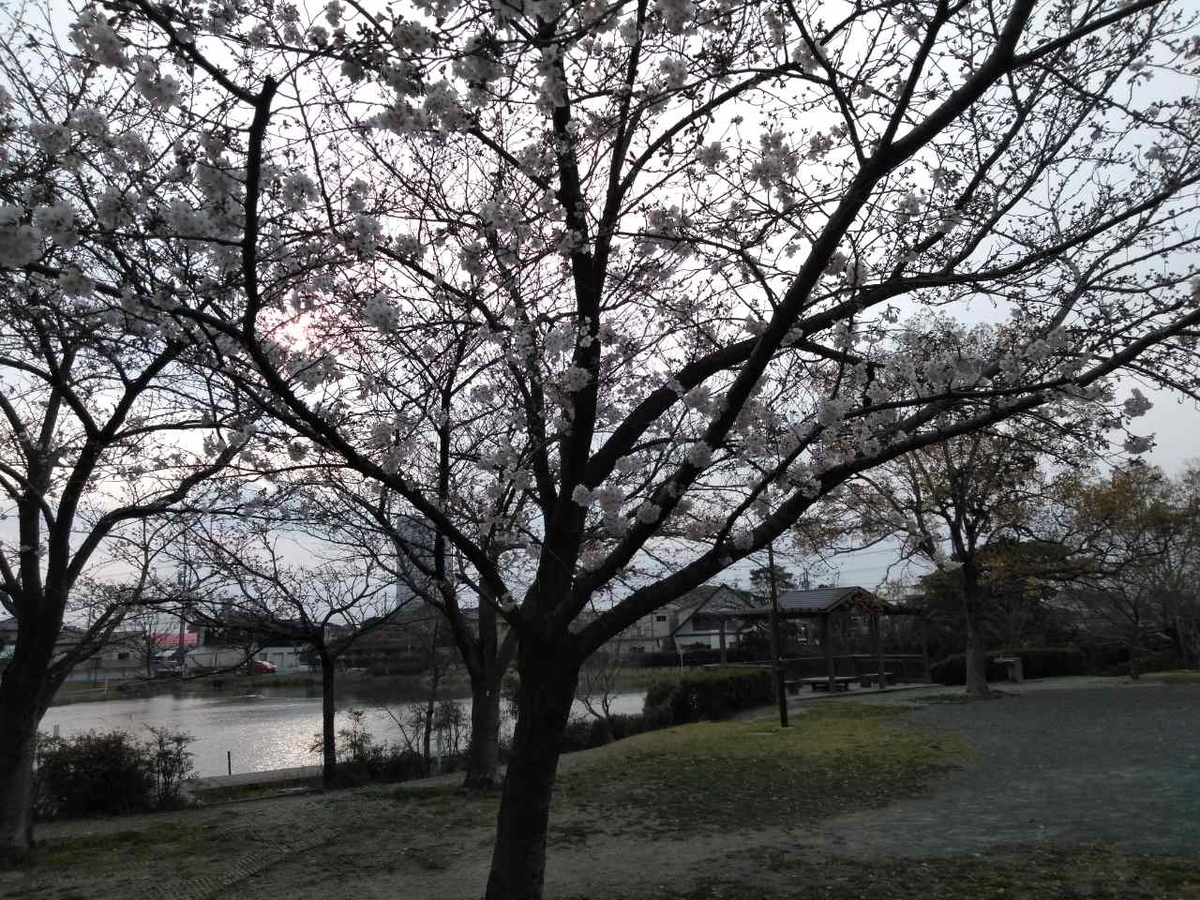 f:id:yonnbaba:20190328195519j:plain
