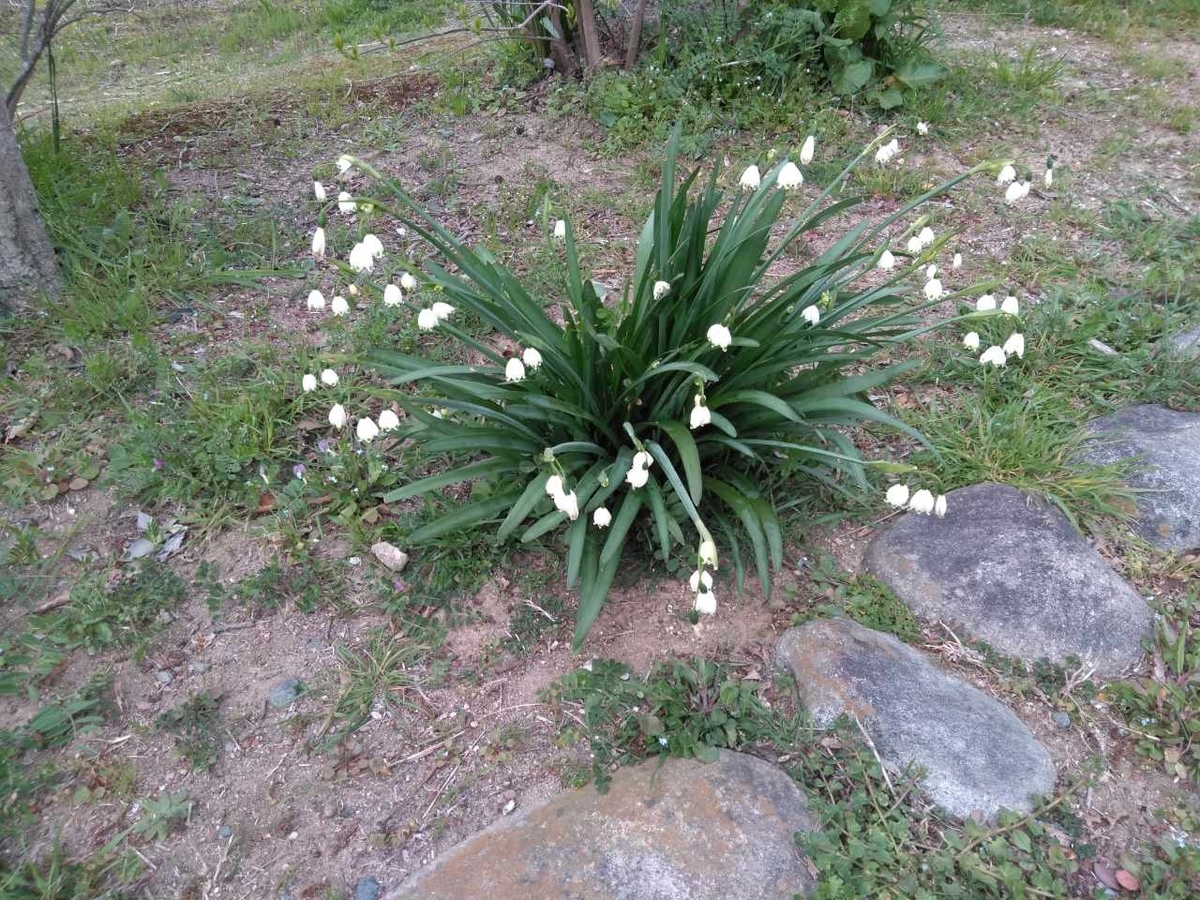 f:id:yonnbaba:20190328200318j:plain