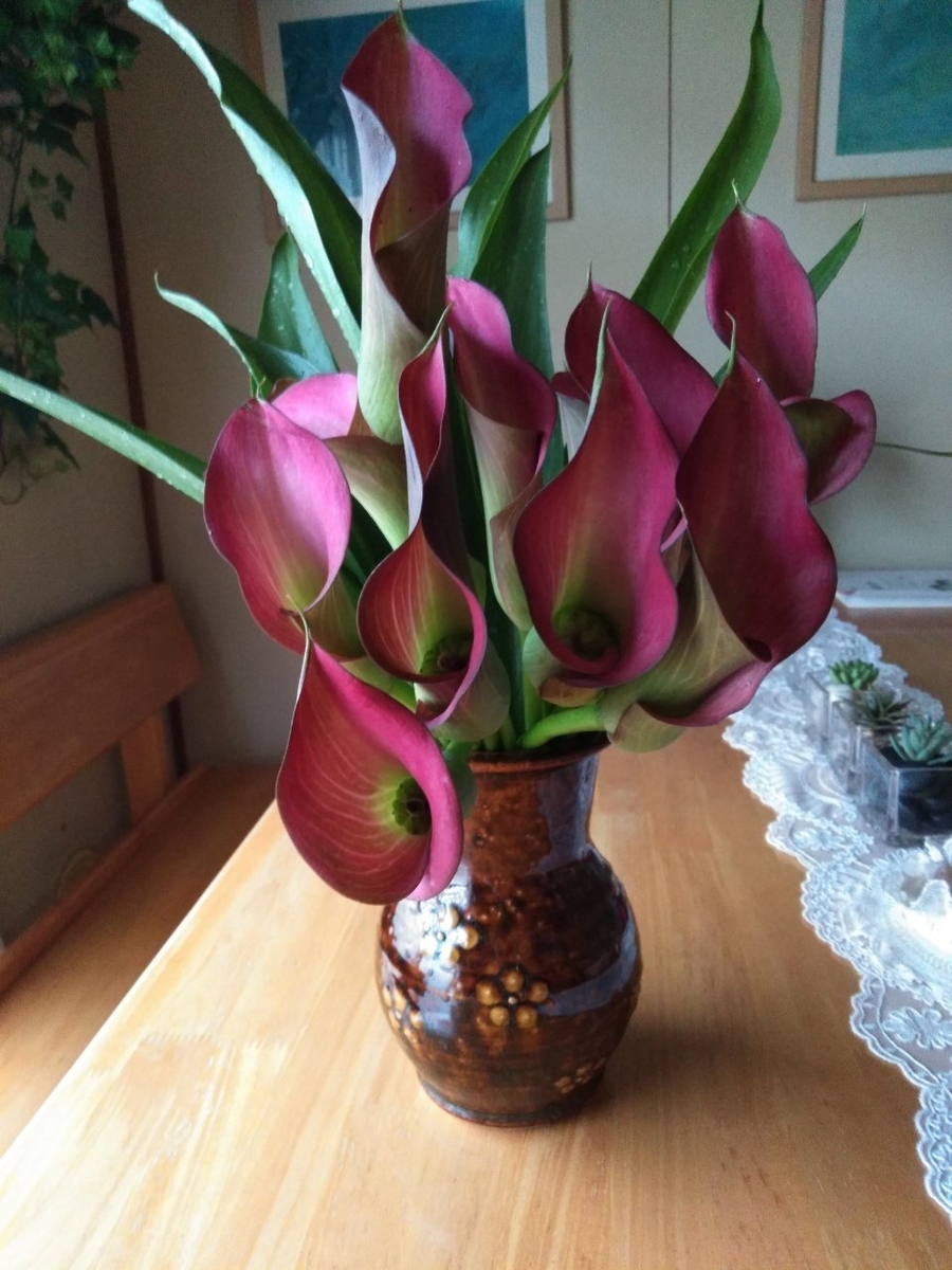 f:id:yonnbaba:20190711192629j:plain f:id:yonnbaba:20190711192629j:plain