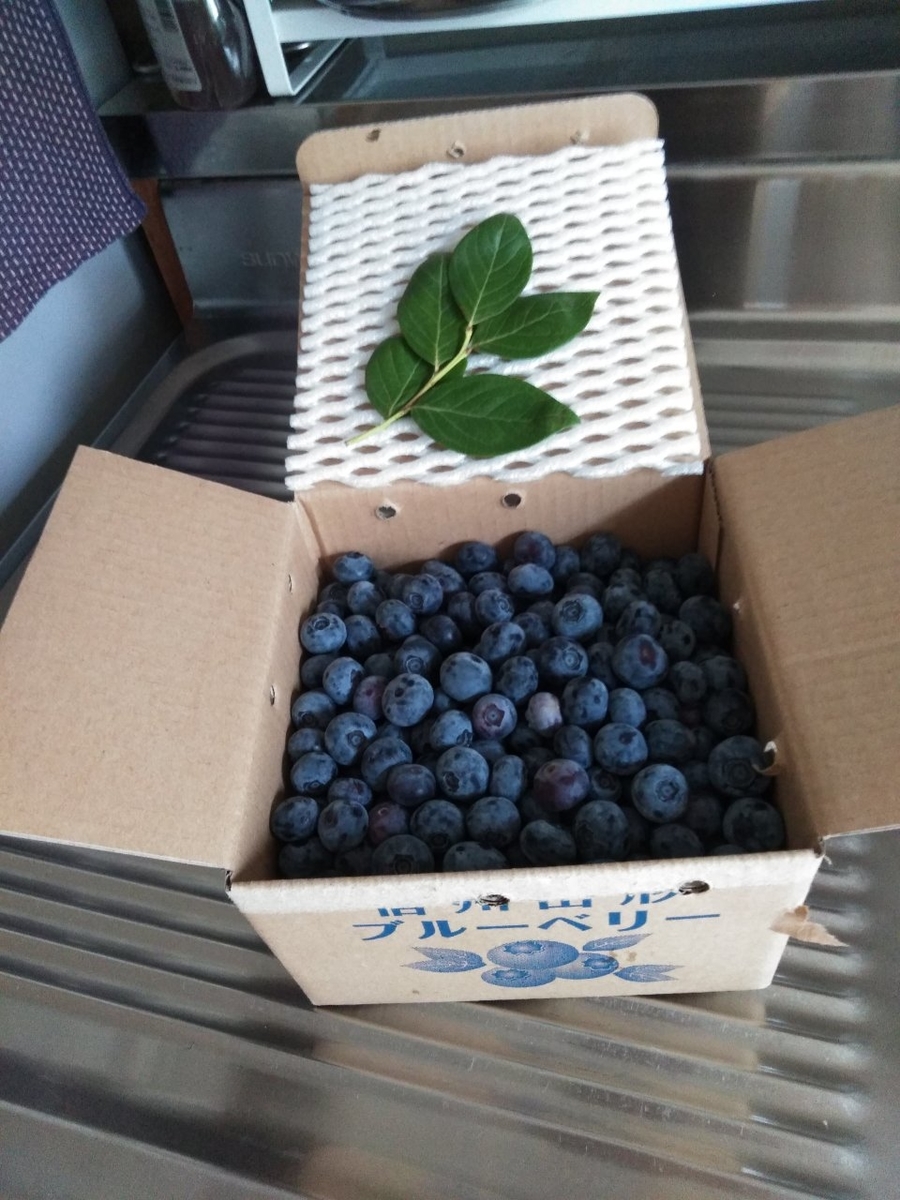 f:id:yonnbaba:20190715180408j:plain f:id:yonnbaba:20190715180408j:plain