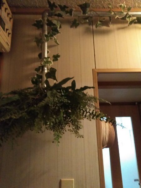 f:id:yonnbaba:20201022171841j:plain