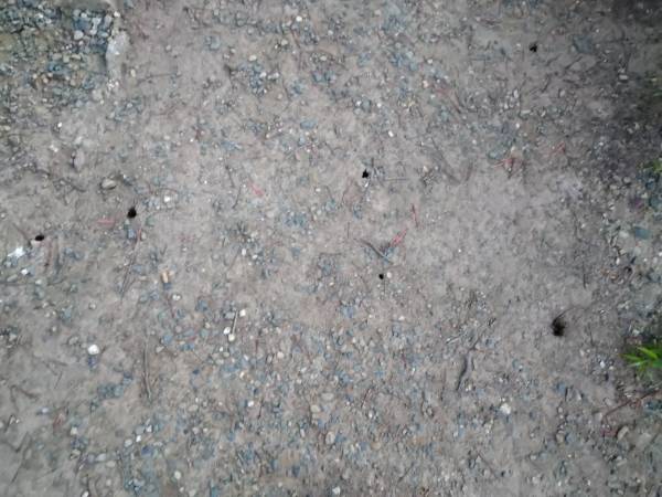 f:id:yonnbaba:20210716151413j:plain