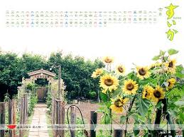 f:id:yonnbaba:20210729131445j:plain