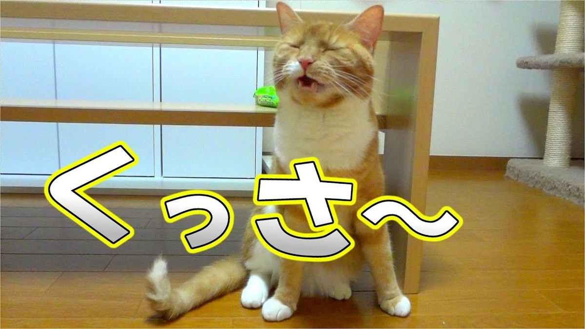 f:id:yonnbaba:20211127161115j:plain