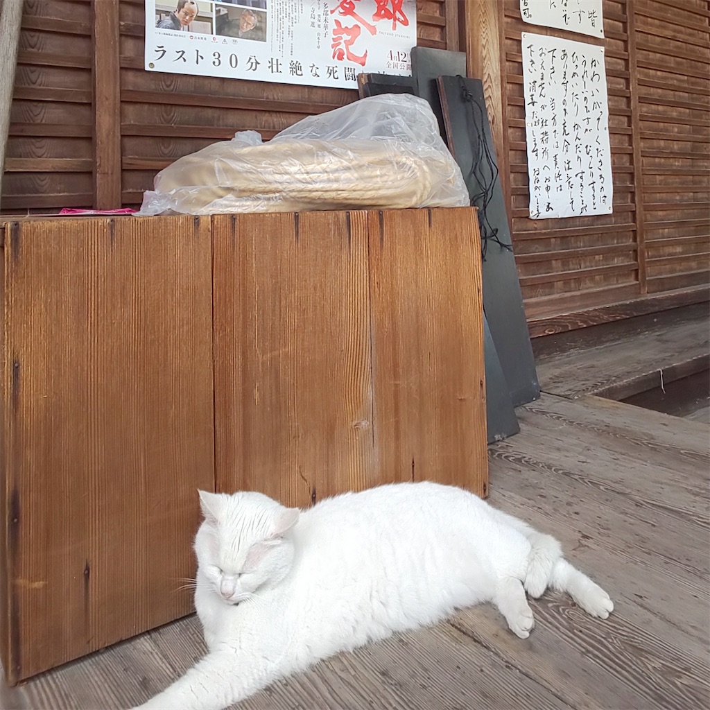 f:id:yonocha:20221002141123j:image
