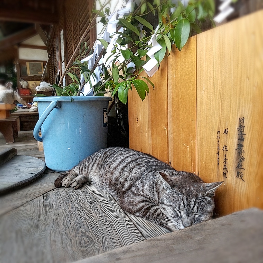 f:id:yonocha:20221002141126j:image
