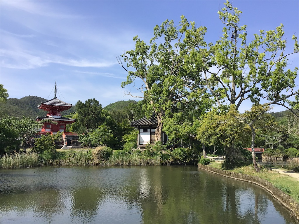 f:id:yonocha:20221002143021j:image