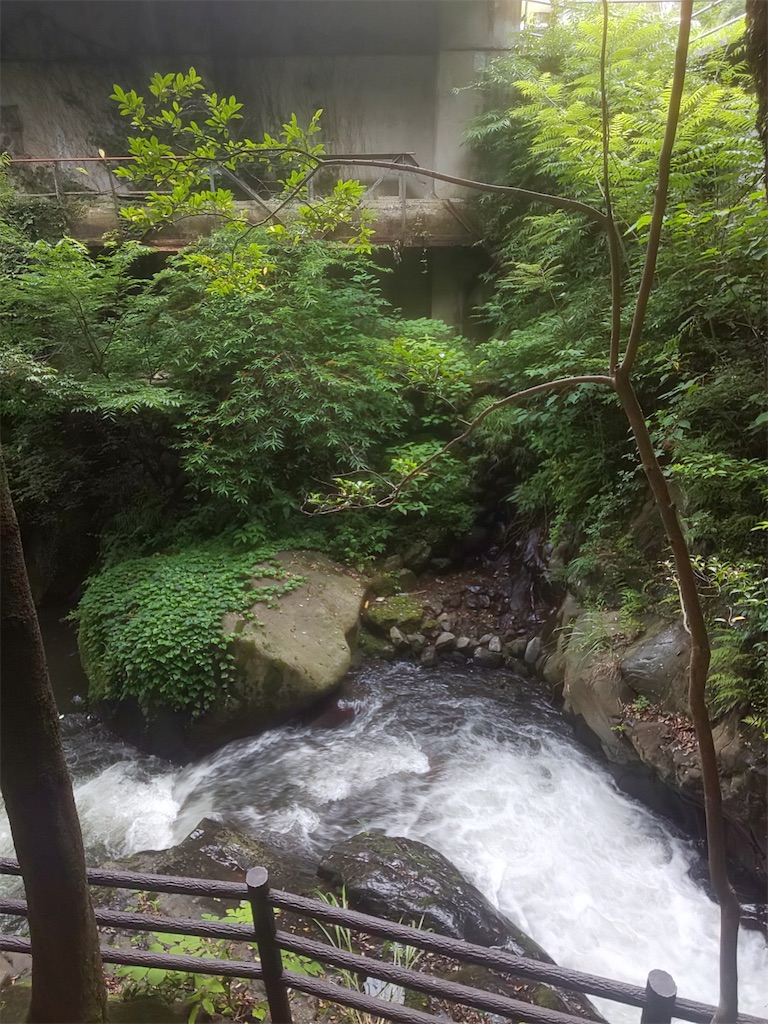 f:id:yonocha:20221002171606j:image