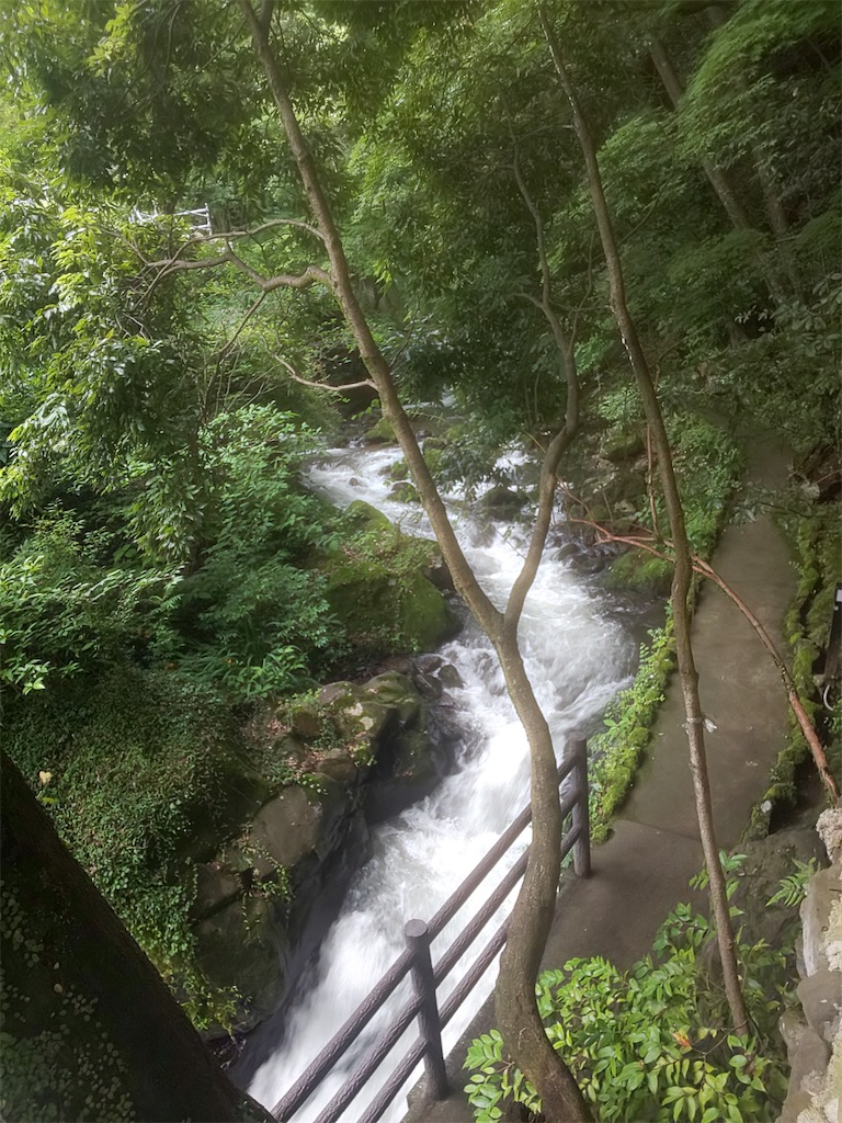 f:id:yonocha:20221002171647j:image