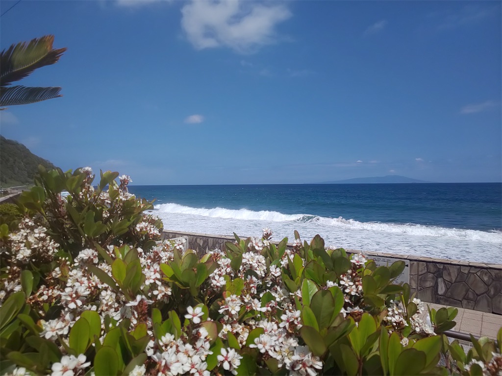 f:id:yonocha:20221002214011j:image