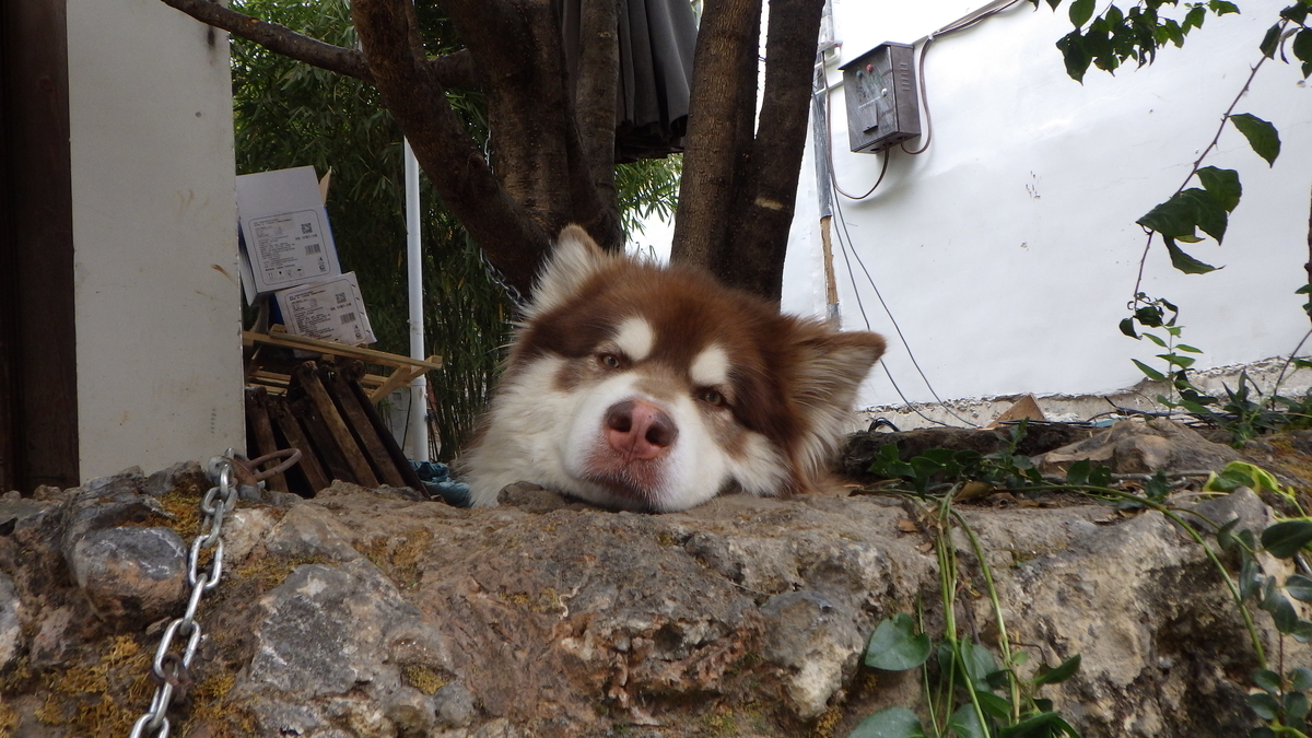 f:id:yonogishiki:20190429110634j:plain f:id:yonogishiki:20190429110634j:plain