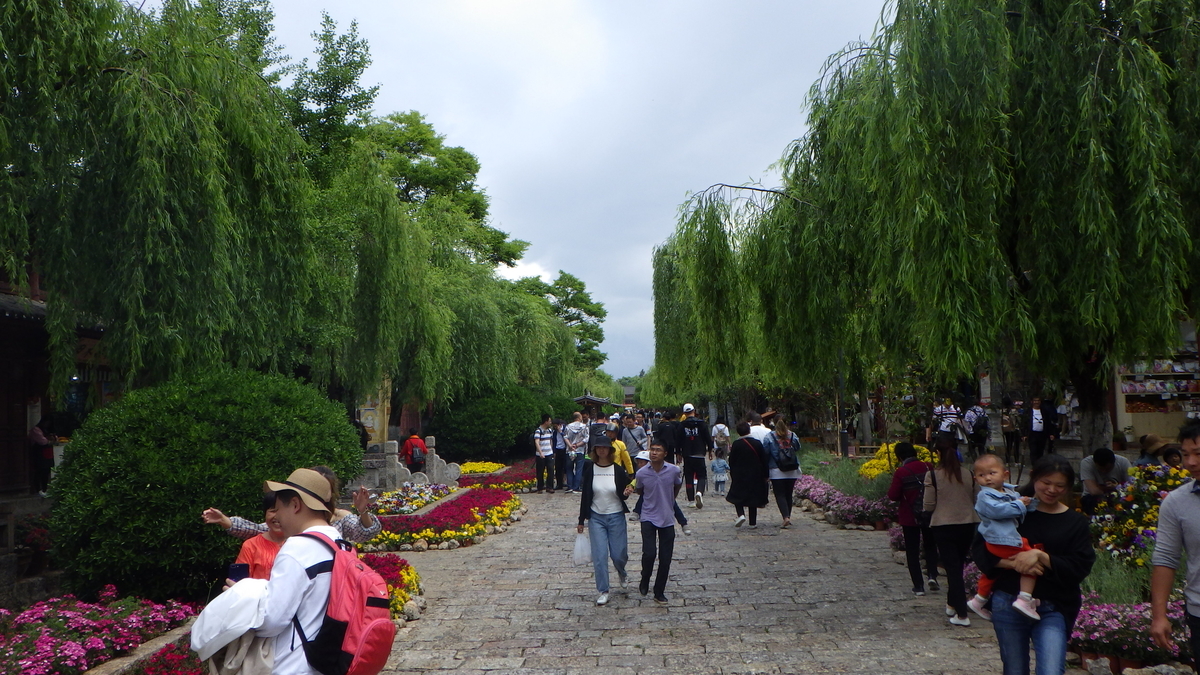 f:id:yonogishiki:20190429120004j:plain f:id:yonogishiki:20190429120004j:plain