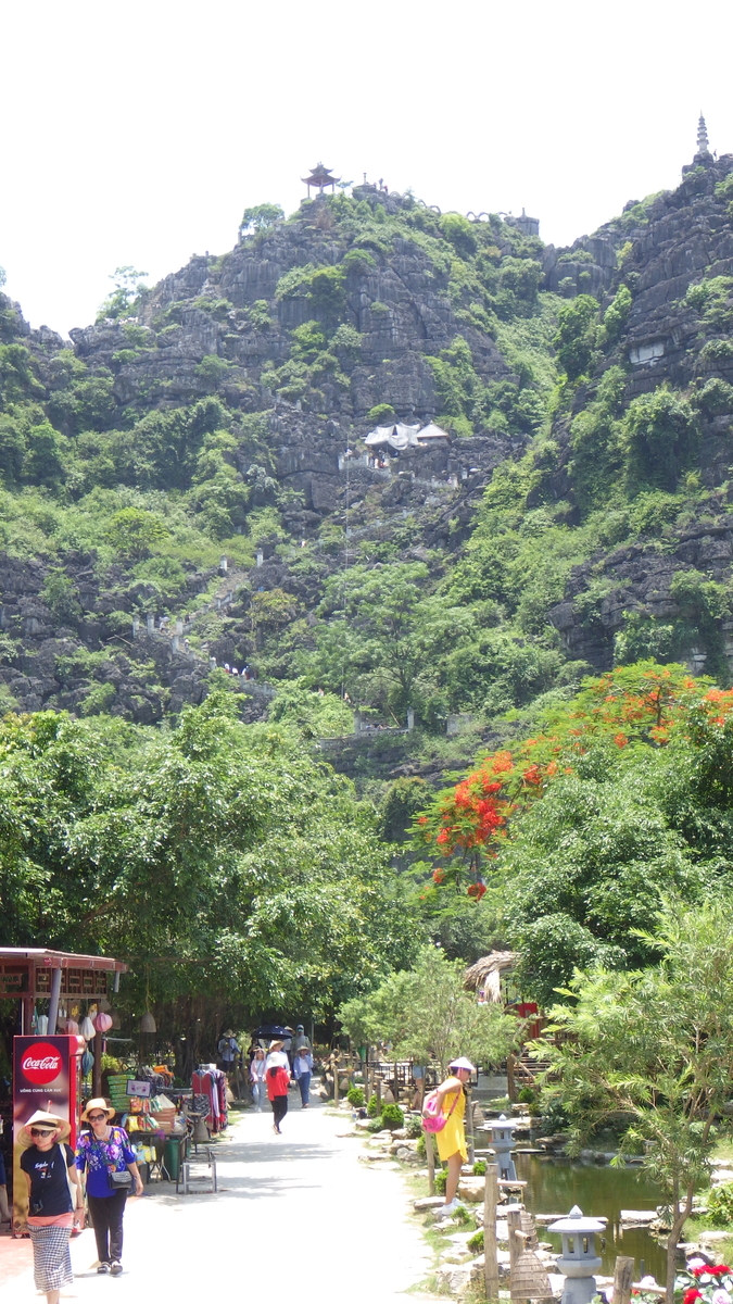 f:id:yonogishiki:20190526223842j:plain f:id:yonogishiki:20190526223842j:plain