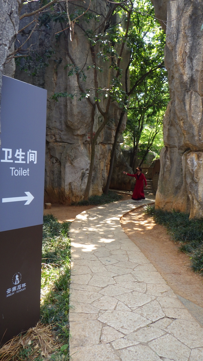 f:id:yonogishiki:20191216121940j:plain f:id:yonogishiki:20191216121940j:plain