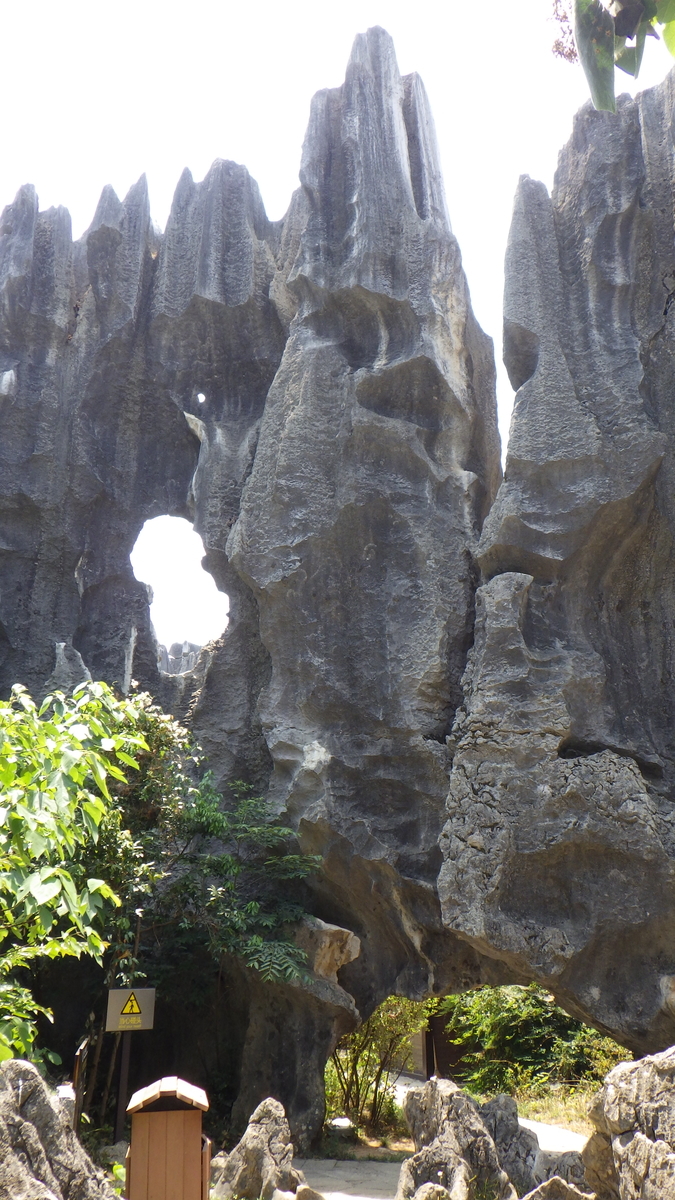 f:id:yonogishiki:20191216124302j:plain f:id:yonogishiki:20191216124302j:plain