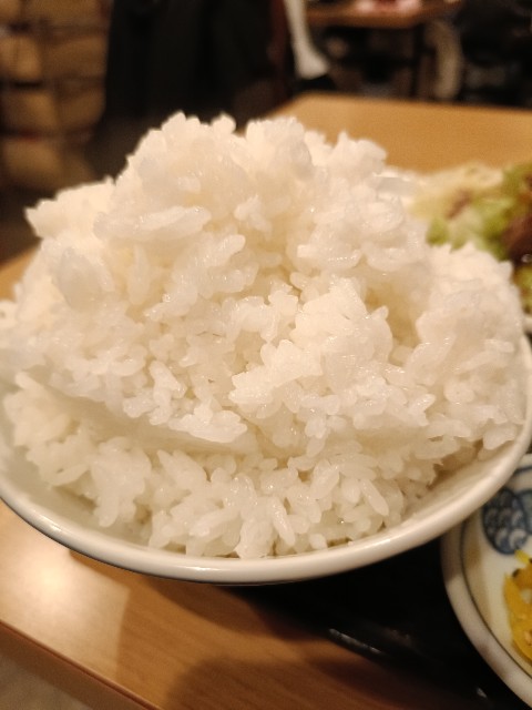 f:id:yonogishiki:20241022215055j:image