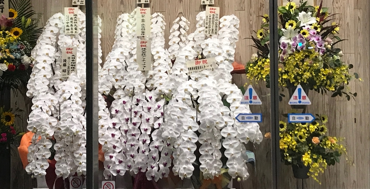 f:id:yonomu:20190627224850j:plain
