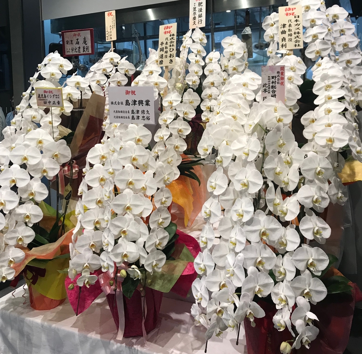 f:id:yonomu:20190627224906j:plain