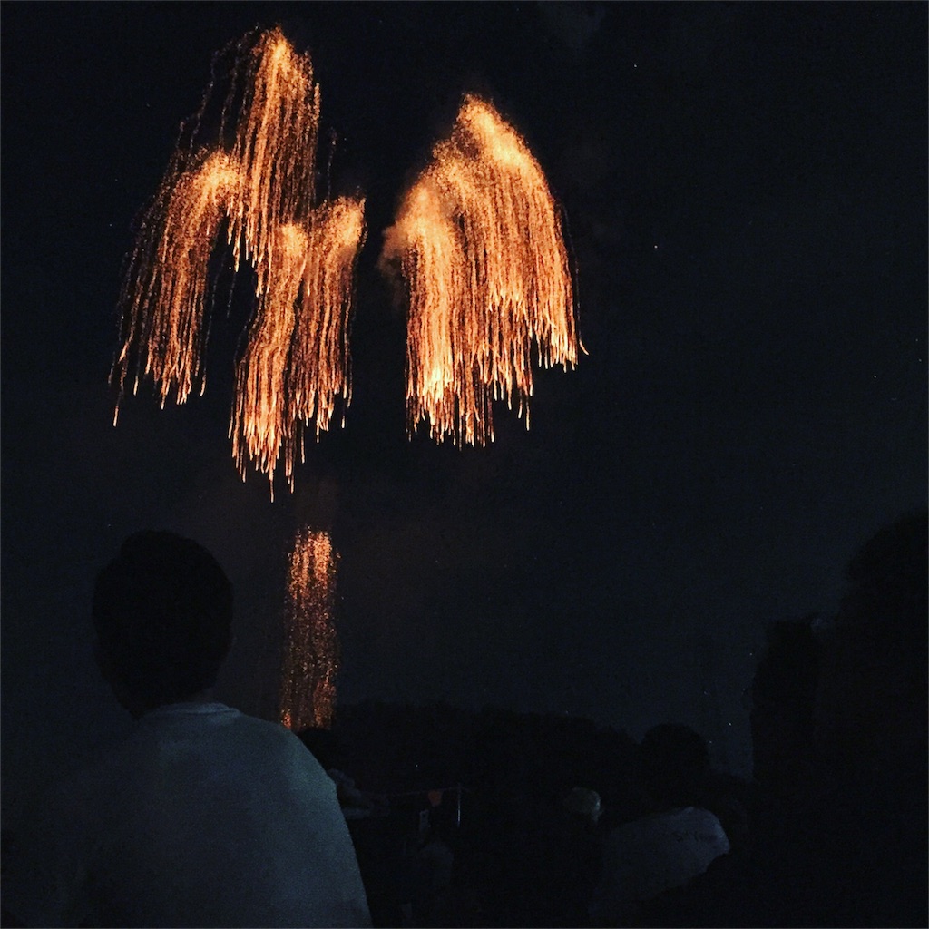 f:id:yonpei704:20160820225459j:image f:id:yonpei704:20160820225459j:image