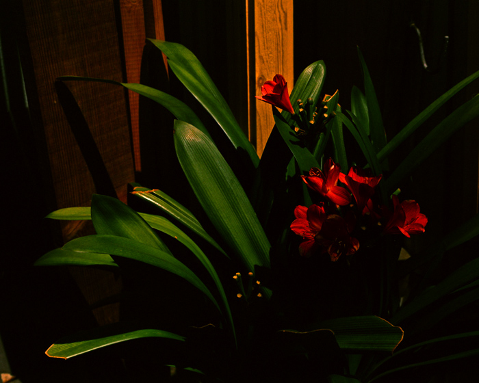 f:id:yonpei704:20161002213326j:plain f:id:yonpei704:20161002213326j:plain