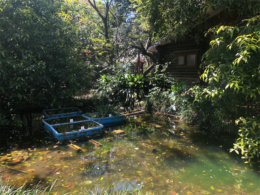 f:id:yonpei704:20200502115457j:image