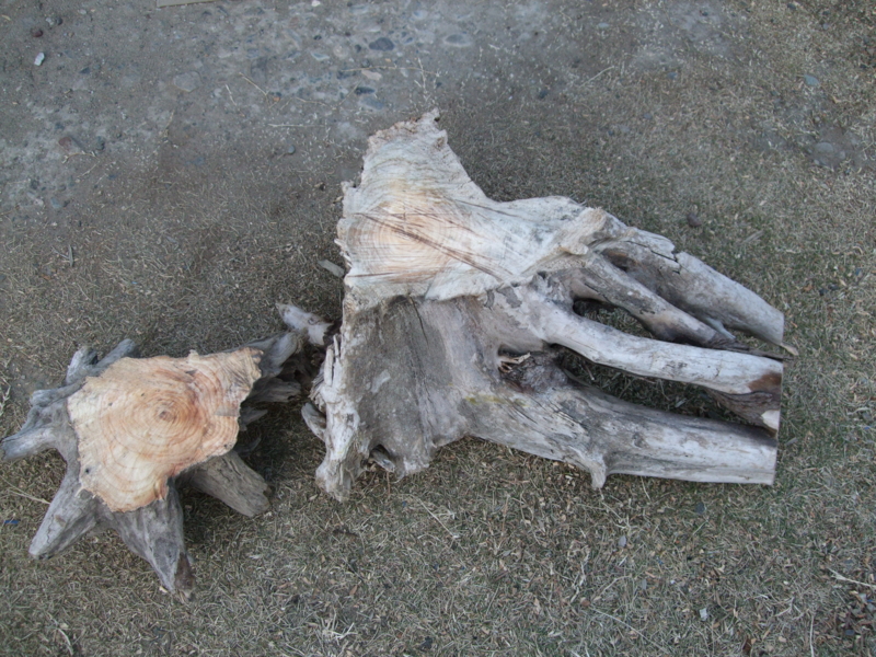 f:id:yoo-sann:20111227155936j:image