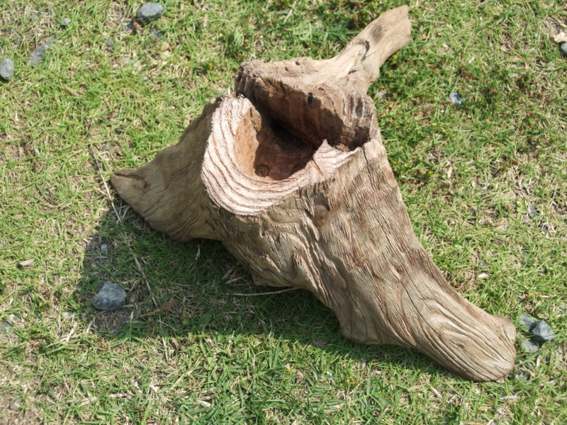 f:id:yoo-sann:20120608141642j:image f:id:yoo-sann:20120608141642j:image