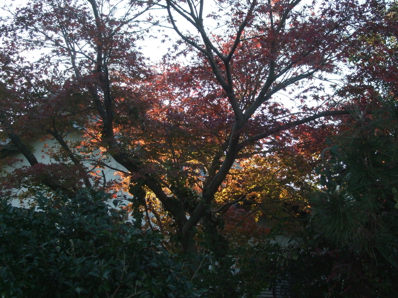 f:id:yoo-sann:20181214153710j:image f:id:yoo-sann:20181214153710j:image