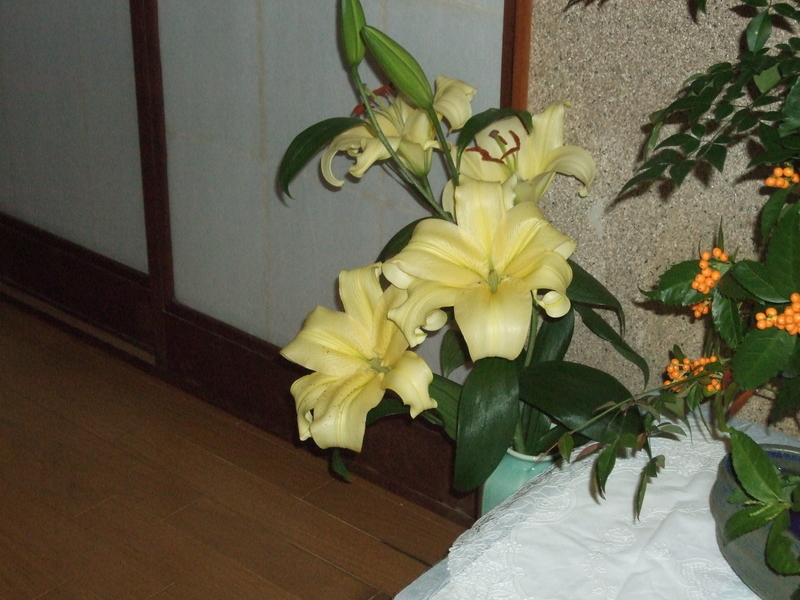 f:id:yoo-sann:20190104210240j:image f:id:yoo-sann:20190104210240j:image