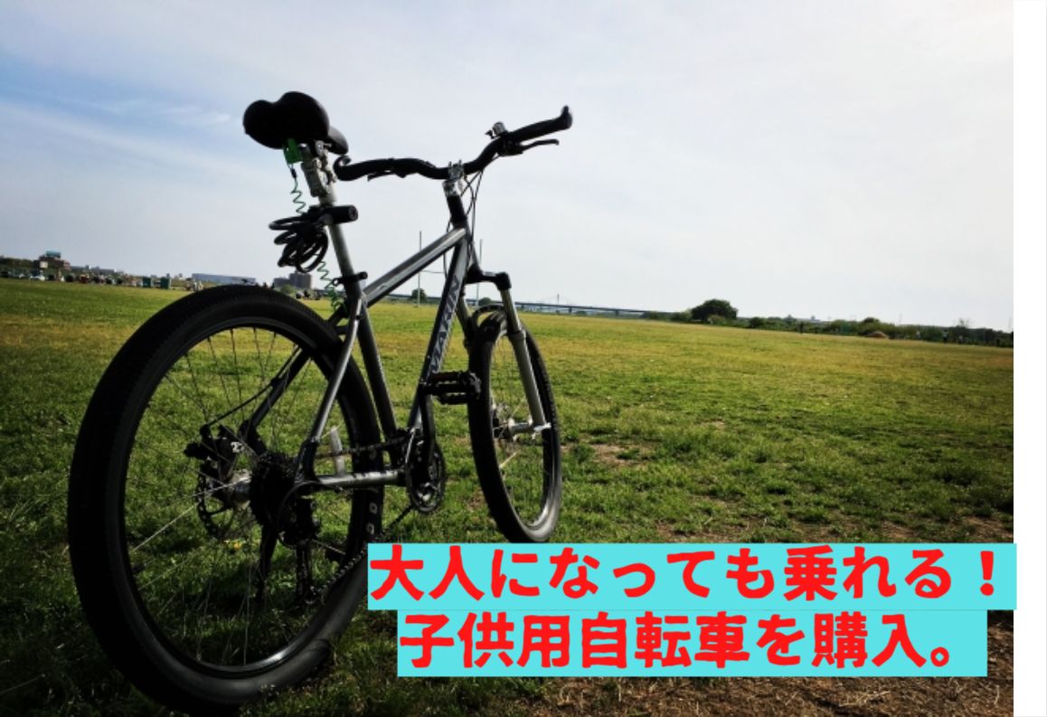 あさひ ドライド R 266-N 26インチ 6段変速 子供用 自転車 あさひ