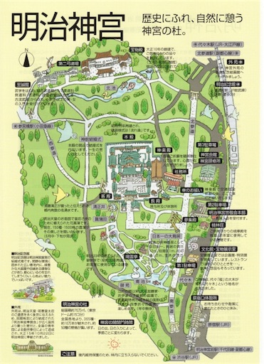 明治神宮の亀石に降りたつ白龍 Yohkoの はごろも通信