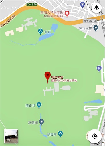 明治神宮の亀石に降りたつ白龍 Yohkoの はごろも通信