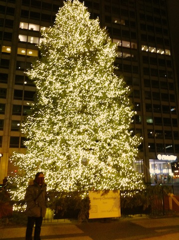 f:id:yoooori:20121206214642j:image f:id:yoooori:20121206214642j:image