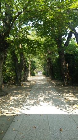 20150831232238