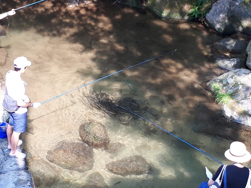 f:id:yooyeey:20180812010047j:plain f:id:yooyeey:20180812010047j:plain