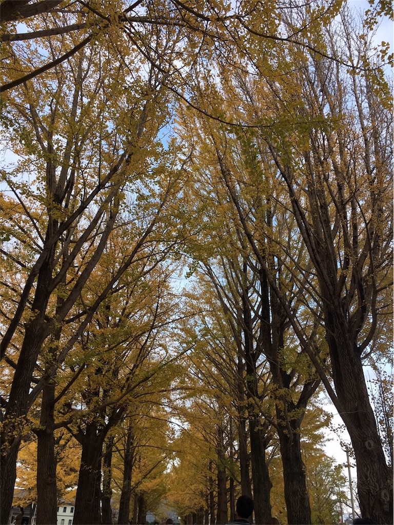 f:id:yoppawriterchang:20181130002837j:image