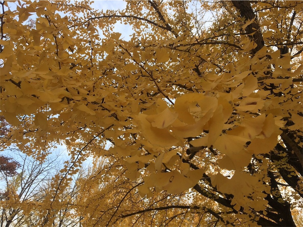 f:id:yoppawriterchang:20181130002903j:image