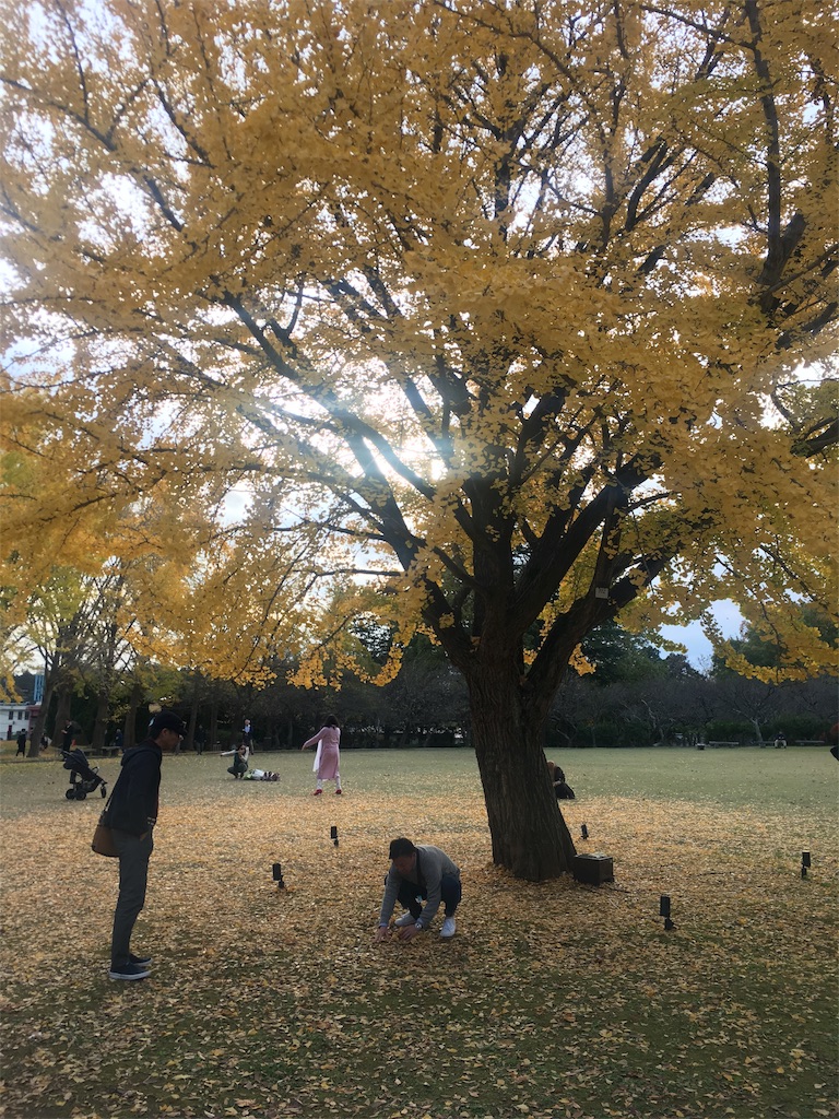 f:id:yoppawriterchang:20181130002916j:image